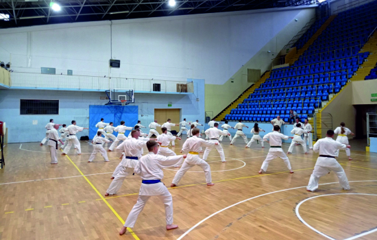Egzamin na stopnie Kyu - 10 czerwca 2022 Kielce Kielecki Klub Karate Kyokushin - Koronea