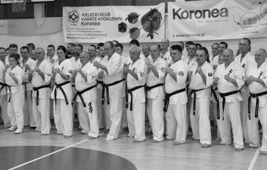 Styczeń 2019 Egzamin karate Kielce