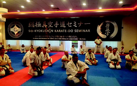 Karate So-Kyokushin