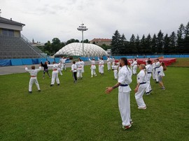 48.jpg