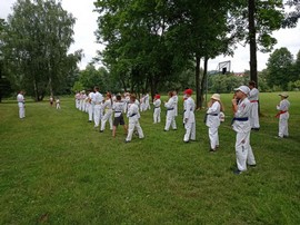 85.jpg